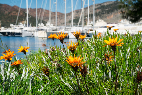 Photos Yacht Marina