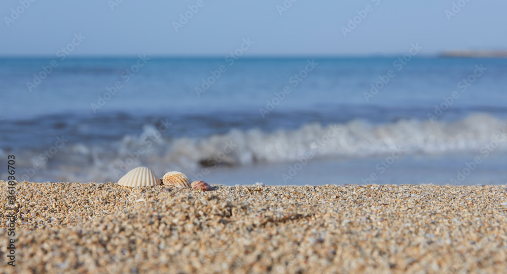 Close-up of beach with shells and sea sand, washed by small waves in the morning hours Close-up of beach with shells and sea sand, washed by small waves in the morning hours