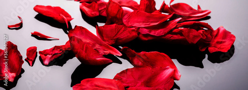 Abstract valentine background with falling red peony petals on black 