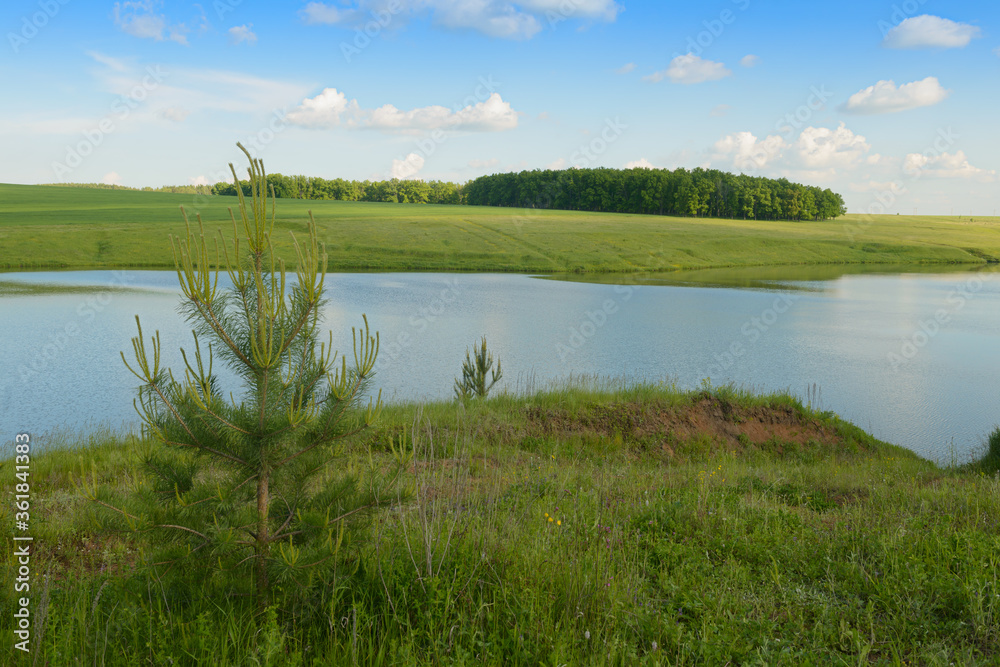 Summer landscape with a lake, green meadow and forest on the shore Summer landscape with a lake, green meadow and forest on the shore