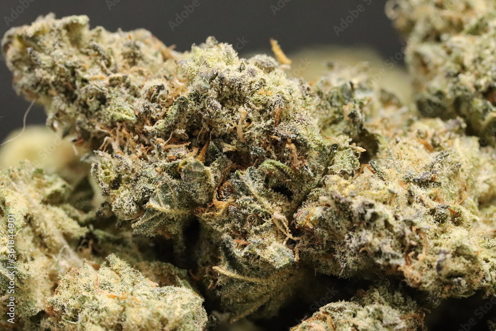 Green Crack God Green Crack God