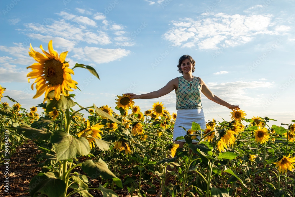 middle-aged woman in a sunflower plantation middle-aged woman in a sunflower plantation