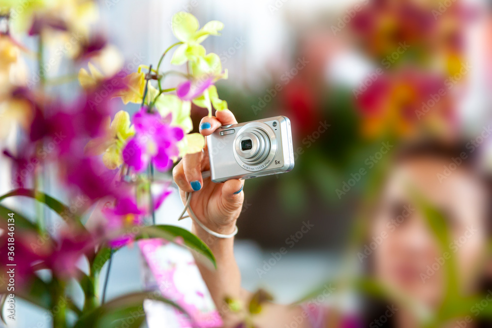 Mulher desfocada segurando câmera digital compacta apontando para uma flor  bem de perto. Stock Photo | Adobe Stock