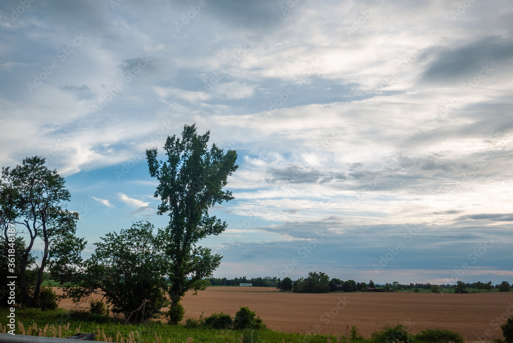 moody clouds over dry farmers field