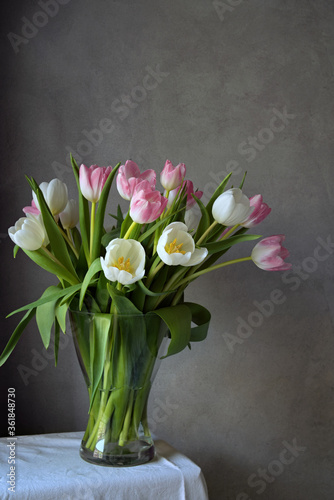 Bouquet of beautiful white and pink tulips in glass vase in front of gray wall, home decor, still life 