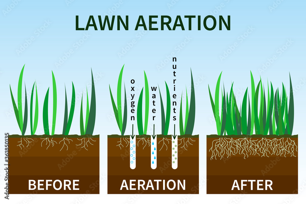 Vector illustration of stages lawn aeration. Before and after steps. Concept of lawn grass care