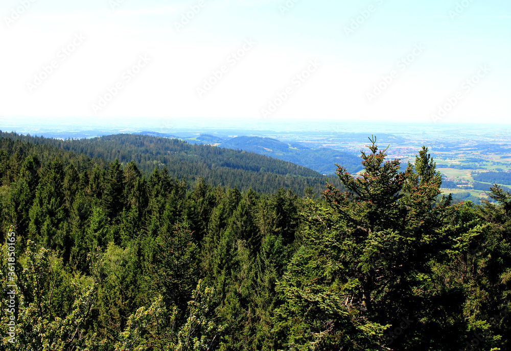 Panorama Aussichtspunkt im Bayerischen Wald mit Ausblick auf die schöne Landschaft, die Berge und Natur mit dichtem Tannen Nadelwald bei Sonnenschein und blauem Himmel