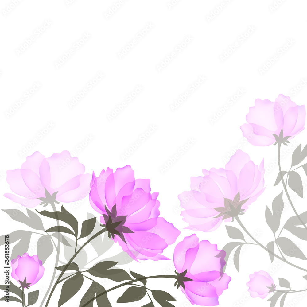 Vector background with a blooming pink peony.Flower frame isolated on white background.Floral Botanical watercolor illustration.