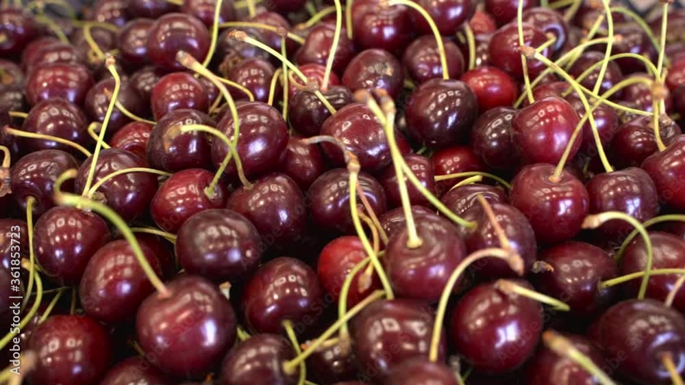 Ripe organic red cherries background Ripe organic red cherries background