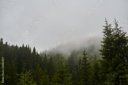 The peak of mountain covered in fog