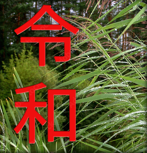 The Reiwa period Reiwa jidai. The next era of Japan. Text in Japanese is Reiwa. photo