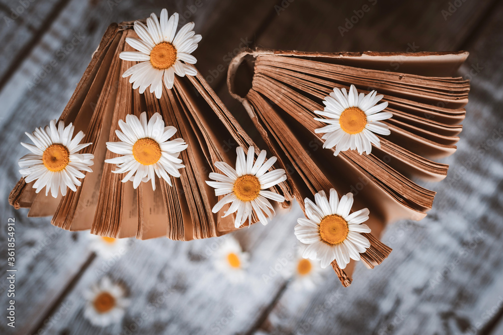 Obraz premium Old books with flowers of white field daisies.