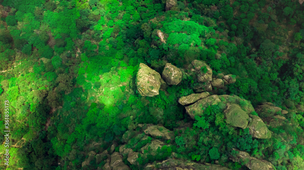 Top view green forest, rocks and forest view texture from above.