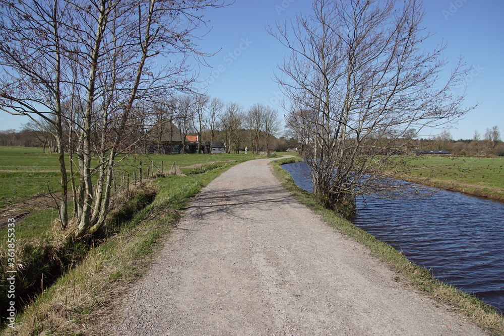 Pasture landscape. A dirt road through the meadows, along a ditch and trees and farms. Near the Dutch village of Bergen. Early spring. Netherlands, March 23, 2020.  