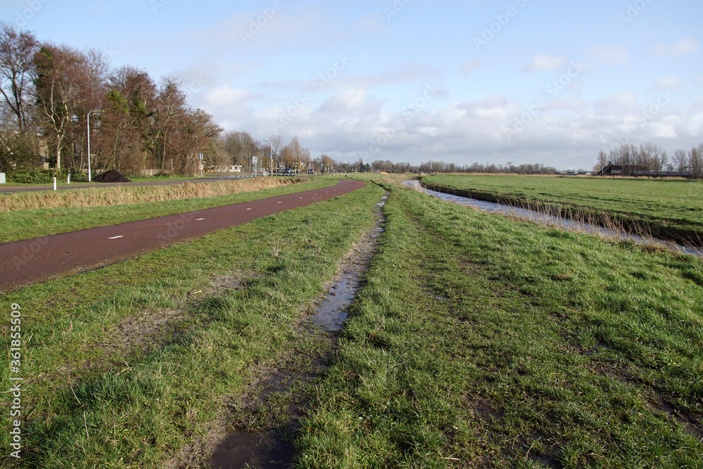 Obraz premium Pasture landscape. A road with a cycle path and a roadside. There are wheel tracks on the roadside. On the right there are meadows, on the left there are houses. Netherlands, Bergen. February 13, 2020