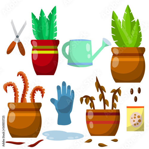Set of domestic plants. Green and dry leaves. Equipment for care of flowers. Brown pot. Cartoon flat illustration. Watering can, farm gloves, scissors and seeds, puddle of water