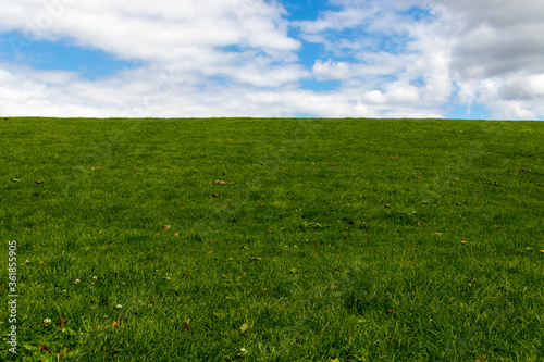 Green field and cloudy sky