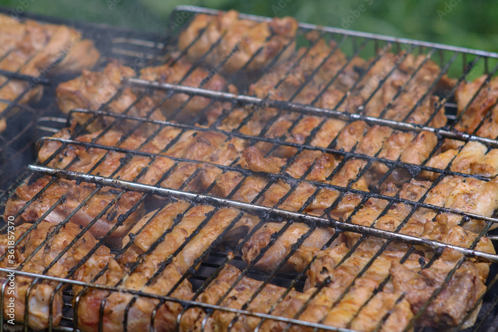 Close up barbecue on picnic outdoors 