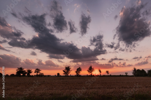 group of people at sunset