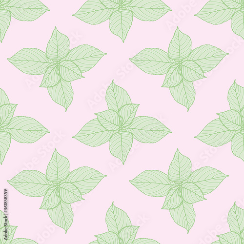 Hortensia leaves seamless background vector. Serrated greenery pattern illustration. © LimenGD