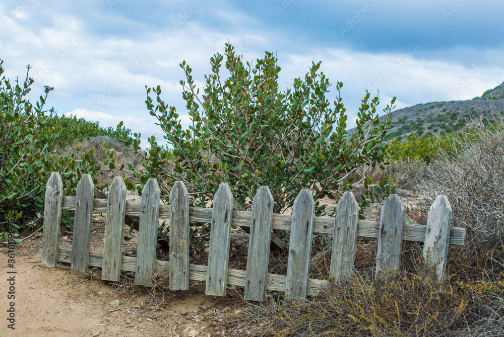 rustic small weathered wooden picket fence in the hillside wilderness along the California coast