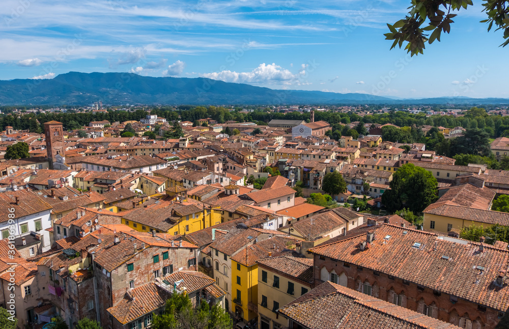 Roofs of Lucca, Toscana, Italy