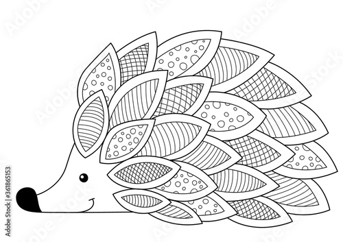 Hedgehog doodle coloring book page. Antistress for adult, zentangle style.