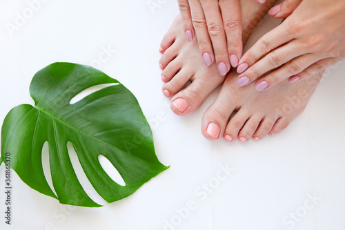 Healthy Legs. Spa. Skincare. woman legs and Hands isolated on white. Eco manicure and natural cosmetology concept
