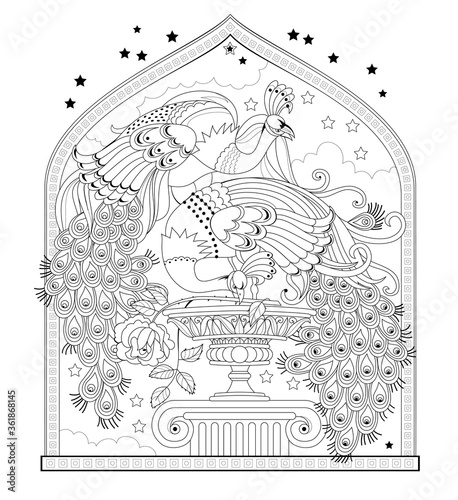 Page for coloring book. Illustration of couple beautiful peacocks from eastern fairy tale. Worksheet for children and adults. Modern print for fashion, embroidery, decoration. Hand-drawn vector.