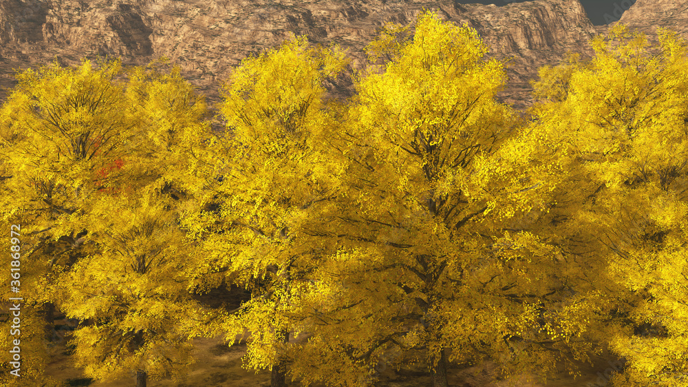 Aspen valley in Colorado during Autumn 3d rendering Aspen valley in Colorado during Autumn 3d rendering