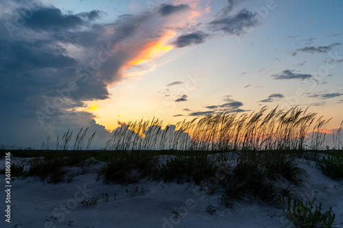 Sunset Through the Tall Grass