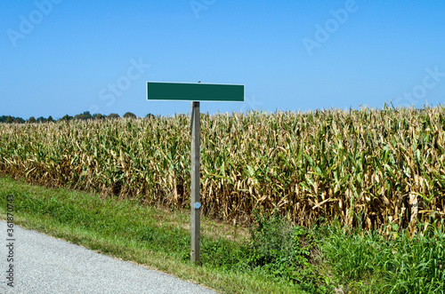 Canvas Print Cornfield and Blank Road Sign