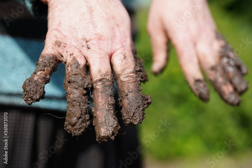Close up of mature female hands in mud. Human hand in dirt. Concept of summer kitchen-garden care.