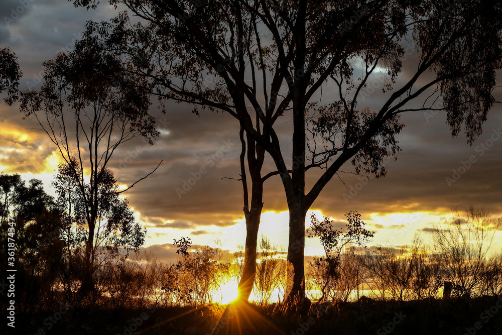 Vibrant country sunset in Australia