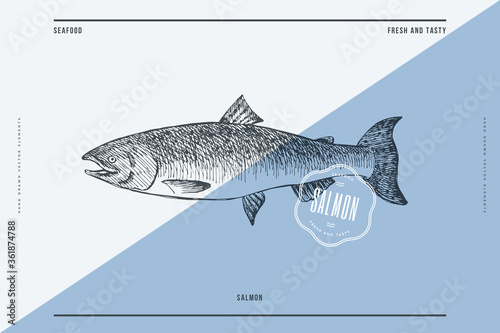 Hand-drawn salmon vector illustration. Sea fish in engraving style on a light background. Design element for fish restaurant, market, store, flyer, packaging, label, menu.