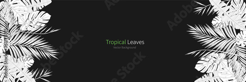 tropical leaves vector background.
leaf illustration.