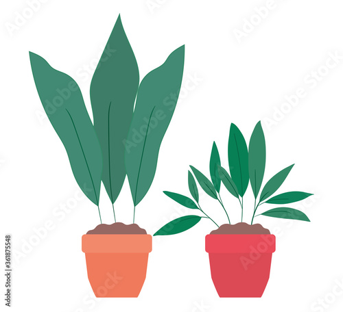 Plants inside pots design of Floral nature garden ornament botany decoration beauty and flora theme Vector illustration