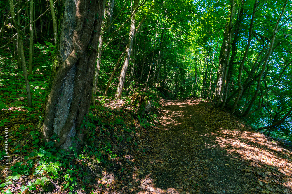 Fototapeta premium Premium hiking trail Seegang on Lake Constance