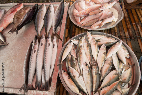 Canvas Print Fresh reef fish caught for seafood market