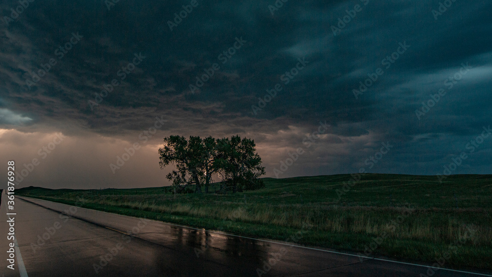 Lighting storm hides behind a grove of trees on the Great Plains