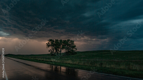Lighting storm hides behind a grove of trees on the Great Plains