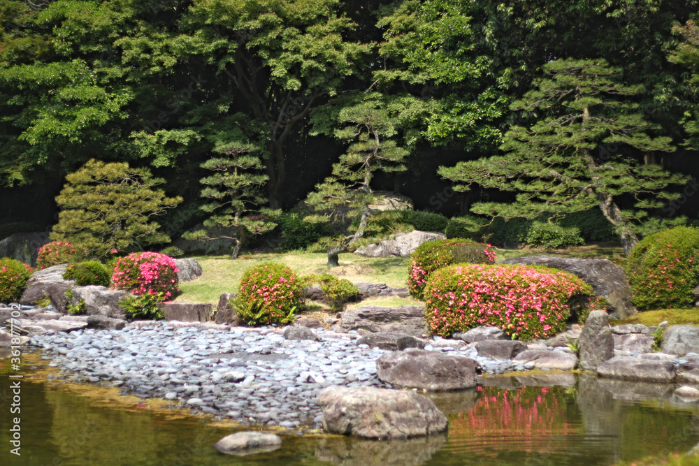 Picturesque landscape in japanese garden with trees and a creek locus amoenus in bright sunlight in Fukuoka
