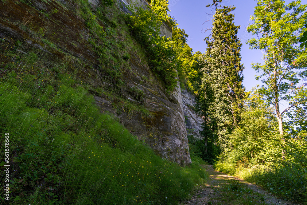 Premium hiking trail Seegang on Lake Constance Premium hiking trail Seegang on Lake Constance