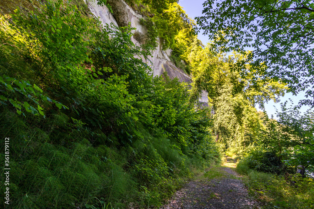 Premium hiking trail Seegang on Lake Constance Premium hiking trail Seegang on Lake Constance