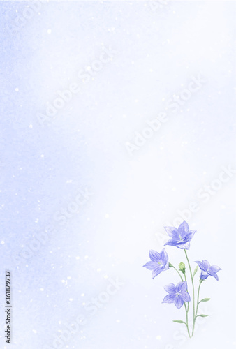 水彩で描く桔梗のはがきテンプレート