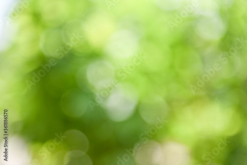 Green bokeh abstract blur background