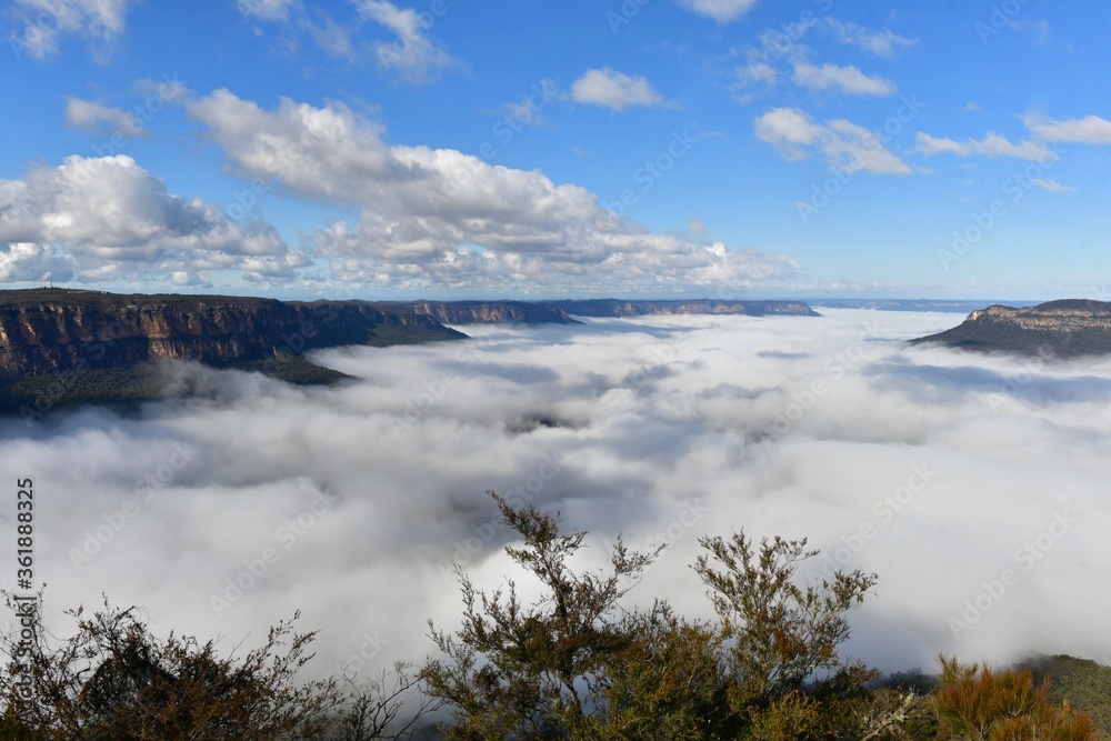 A view of mist in the valley