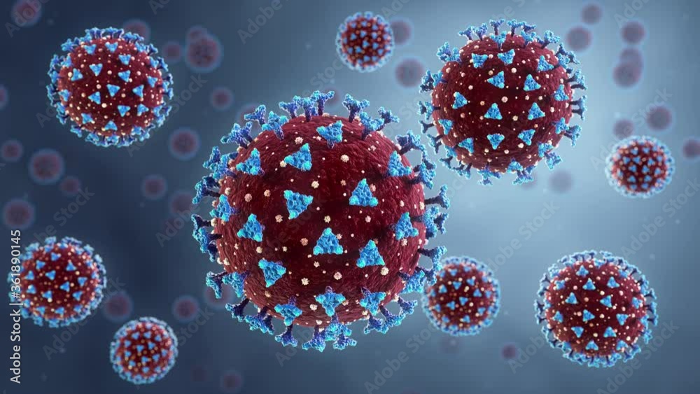 Coronavirus animation. New deadly disease-causing viruses such as COVID-19 or SARS (Severe acute respiratory syndrome). Virus in a microscope close up. 3D rendering. Seamless loop. 4K