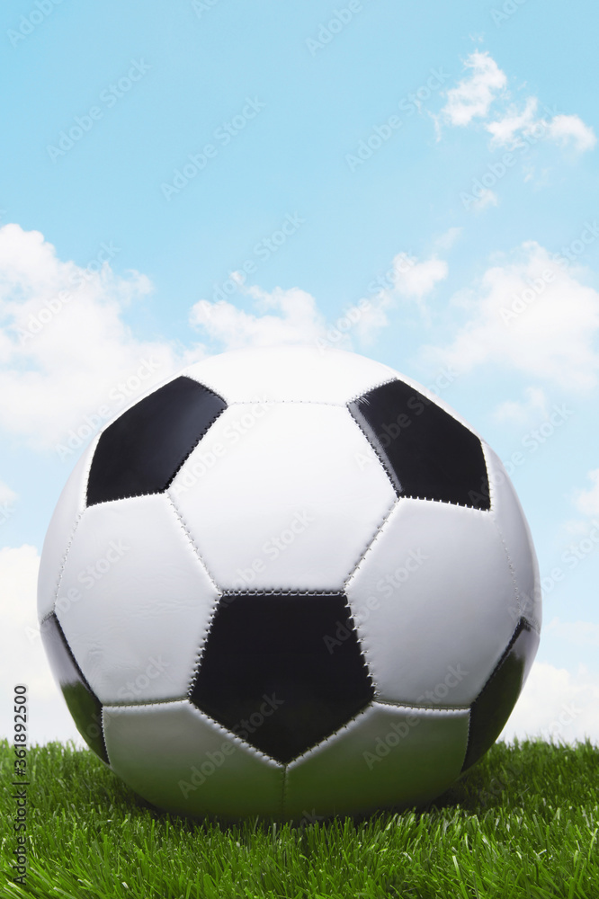 Fototapeta premium Soccer ball on a grass