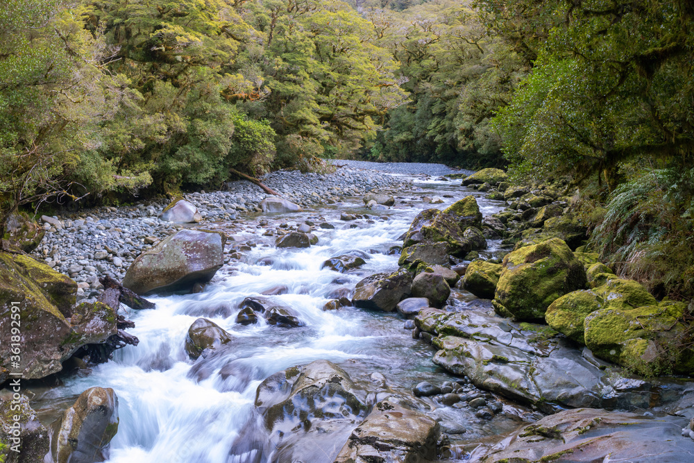 Fiordland National Park picturesque landscape with river Fiordland National Park picturesque landscape with river